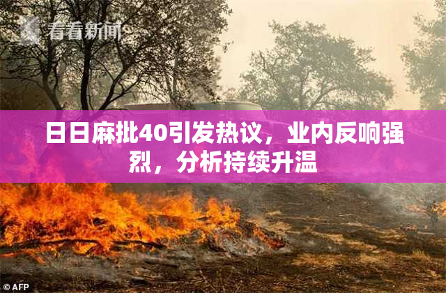 日日麻批40引发热议，业内反响强烈，分析持续升温