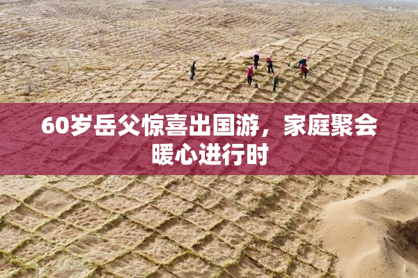 60岁岳父惊喜出国游，家庭聚会暖心进行时