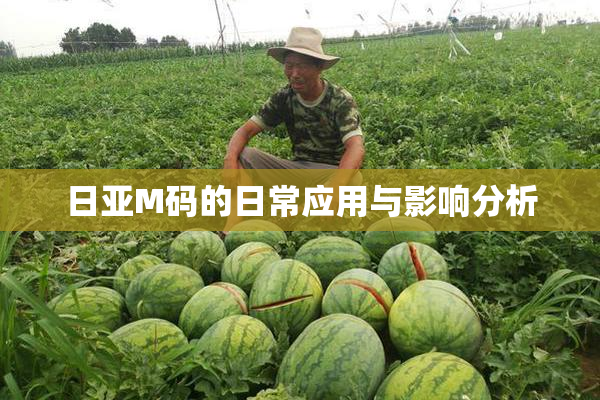 日亚M码的日常应用与影响分析