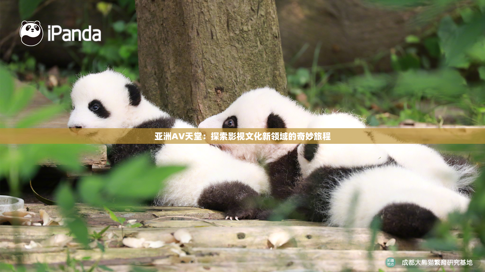 亚洲AV天堂：探索影视文化新领域的奇妙旅程