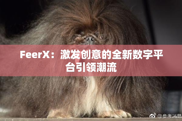 FeerX：激发创意的全新数字平台引领潮流
