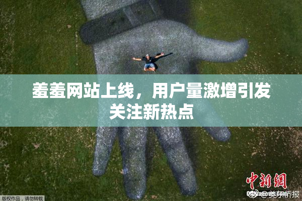 羞羞网站上线，用户量激增引发关注新热点