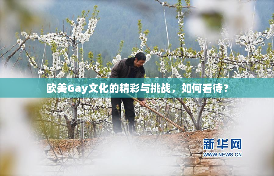 欧美Gay文化的精彩与挑战，如何看待？