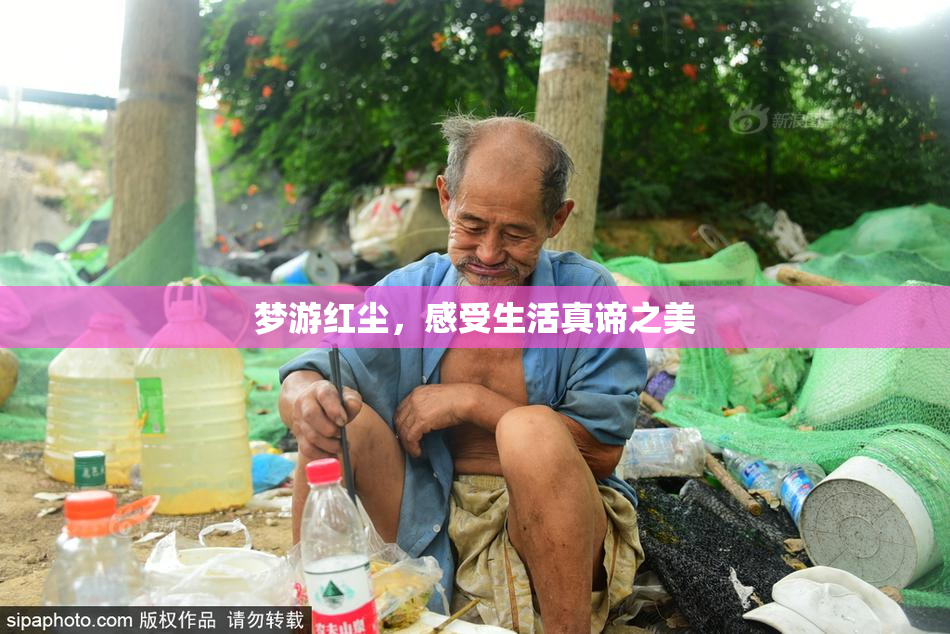 梦游红尘，感受生活真谛之美
