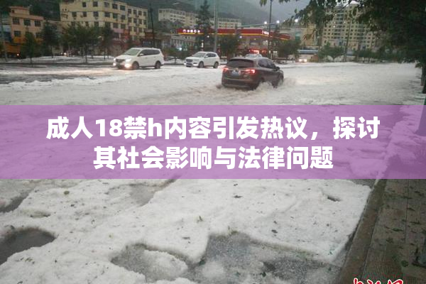 成人18禁h内容引发热议，探讨其社会影响与法律问题