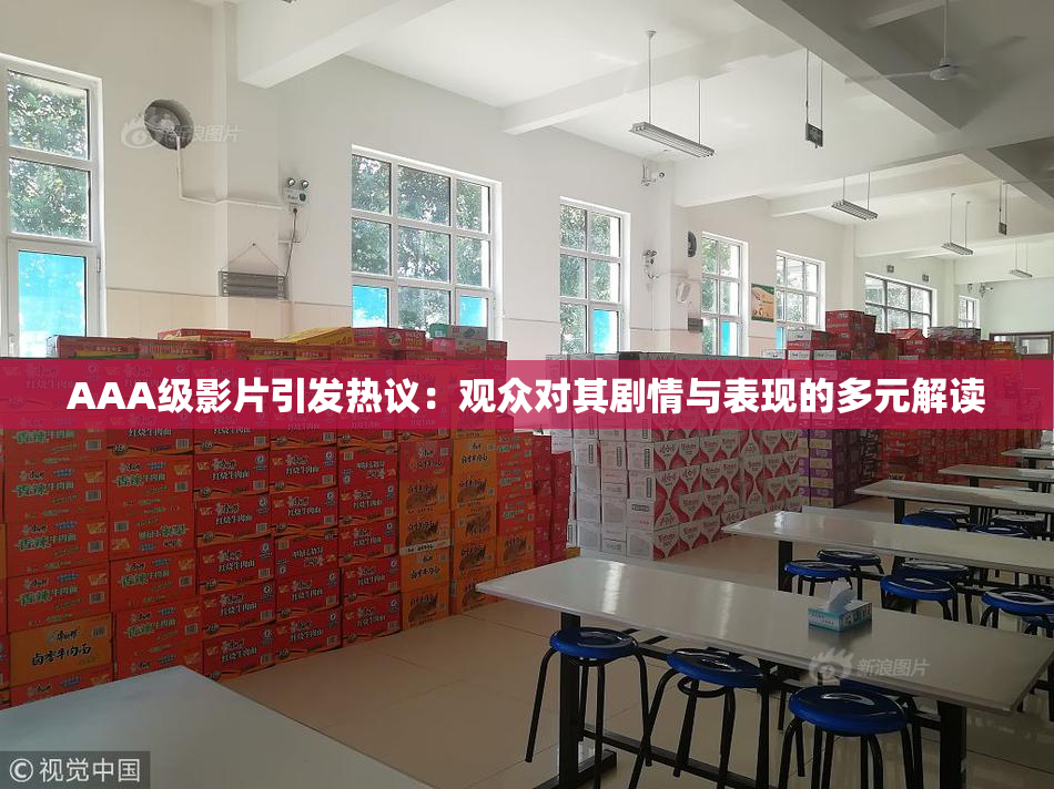 AAA级影片引发热议：观众对其剧情与表现的多元解读