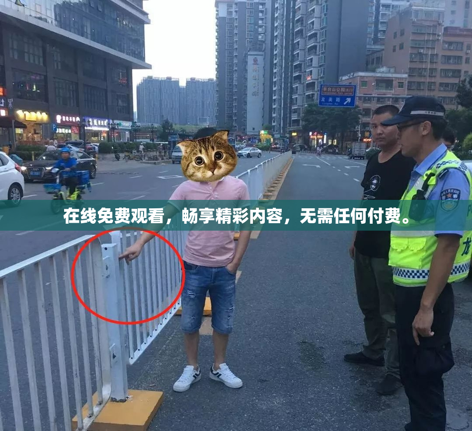 在线免费观看，畅享精彩内容，无需任何付费。