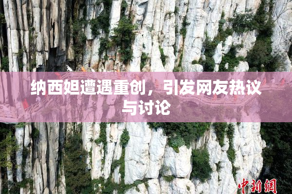纳西妲遭遇重创，引发网友热议与讨论