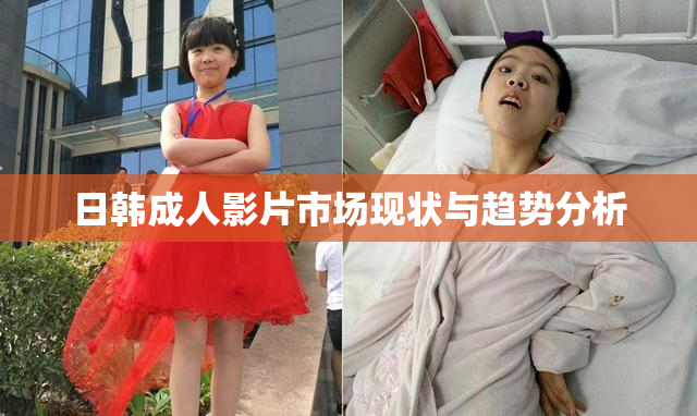 日韩成人影片市场现状与趋势分析