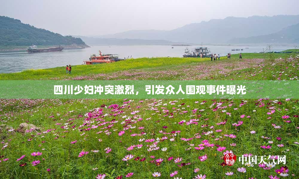 四川少妇冲突激烈，引发众人围观事件曝光