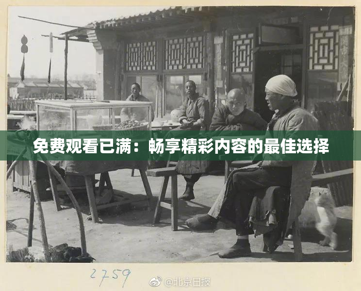 免费观看已满：畅享精彩内容的最佳选择