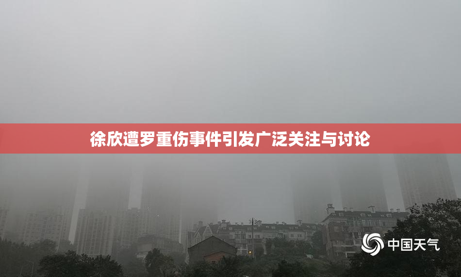 徐欣遭罗重伤事件引发广泛关注与讨论