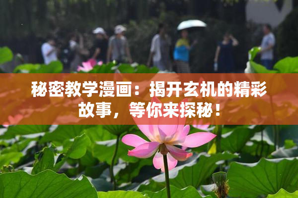 秘密教学漫画：揭开玄机的精彩故事，等你来探秘！