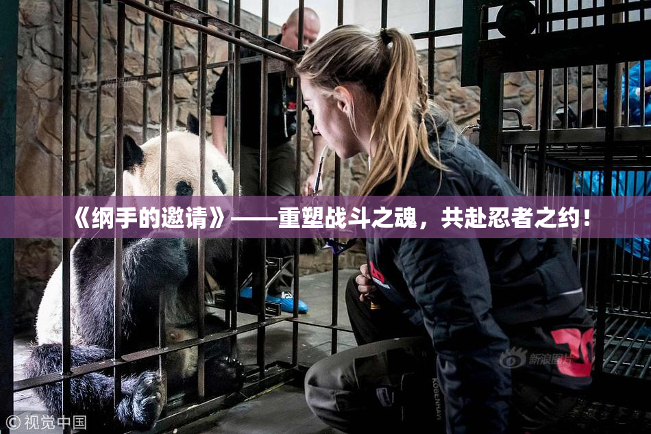 《纲手的邀请》——重塑战斗之魂，共赴忍者之约！