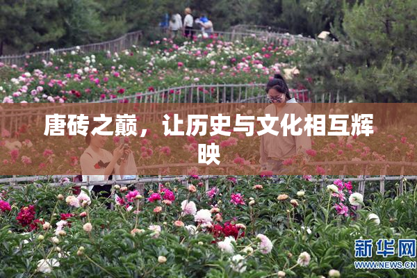 唐砖之巅，让历史与文化相互辉映
