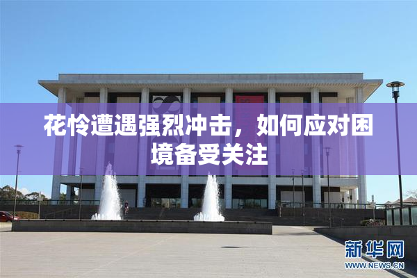 花怜遭遇强烈冲击，如何应对困境备受关注