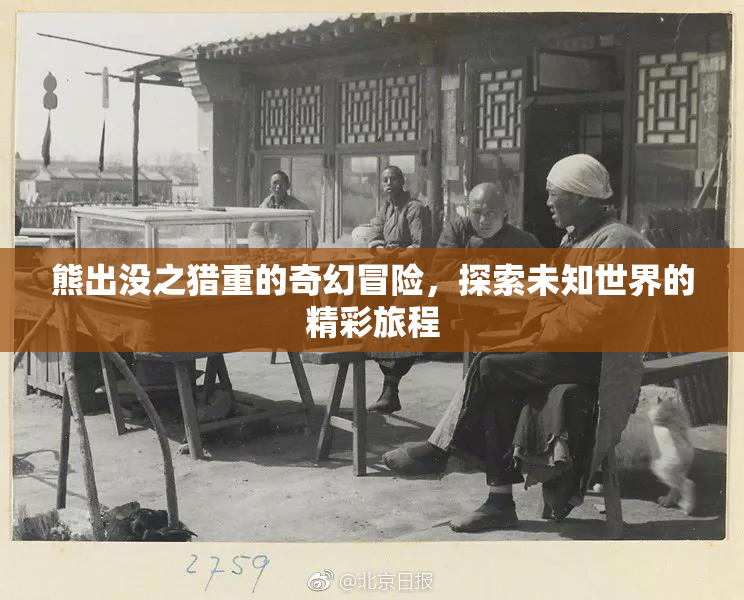 熊出没之猎重的奇幻冒险，探索未知世界的精彩旅程