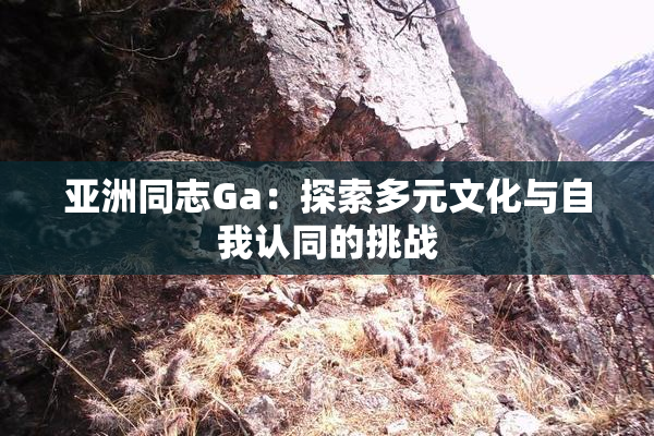 亚洲同志Ga：探索多元文化与自我认同的挑战