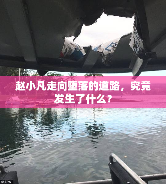 赵小凡走向堕落的道路，究竟发生了什么？