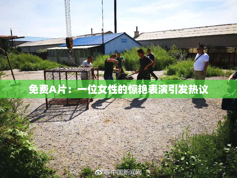 免费A片：一位女性的惊艳表演引发热议