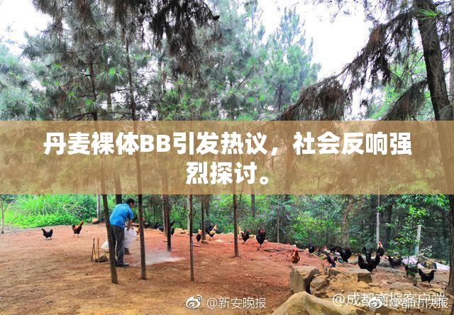 丹麦裸体BB引发热议，社会反响强烈探讨。