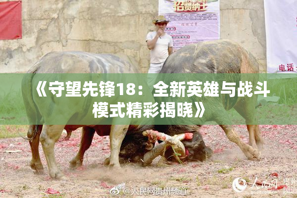 《守望先锋18：全新英雄与战斗模式精彩揭晓》