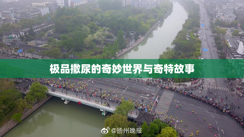 极品撒尿的奇妙世界与奇特故事