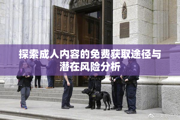 探索成人内容的免费获取途径与潜在风险分析