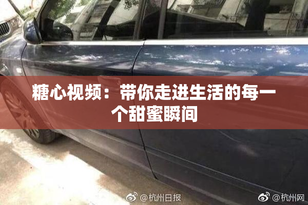 糖心视频：带你走进生活的每一个甜蜜瞬间