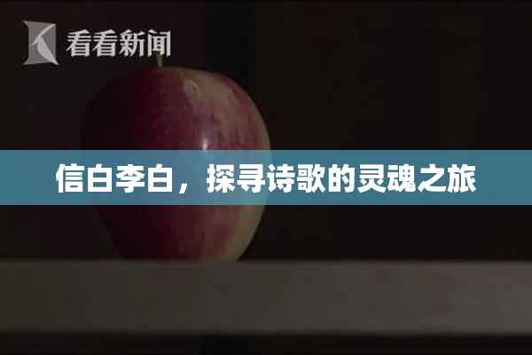 信白李白，探寻诗歌的灵魂之旅