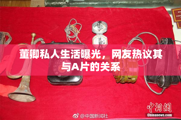 董卿私人生活曝光，网友热议其与A片的关系
