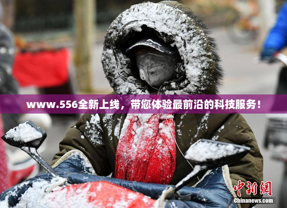 www.556全新上线，带您体验最前沿的科技服务！