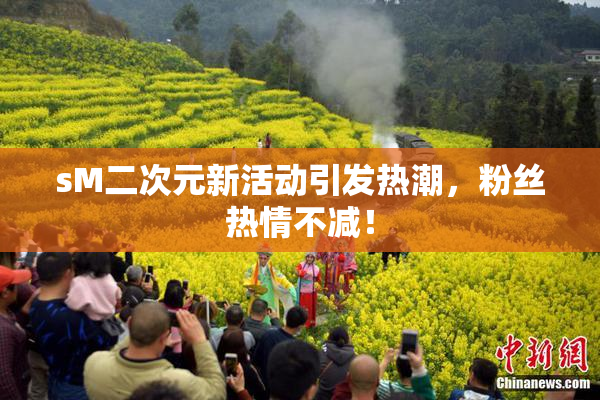 sM二次元新活动引发热潮，粉丝热情不减！