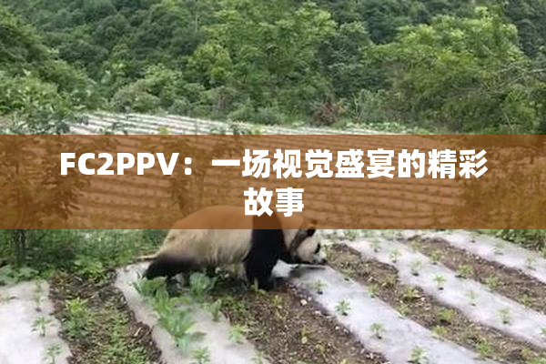 FC2PPV：一场视觉盛宴的精彩故事