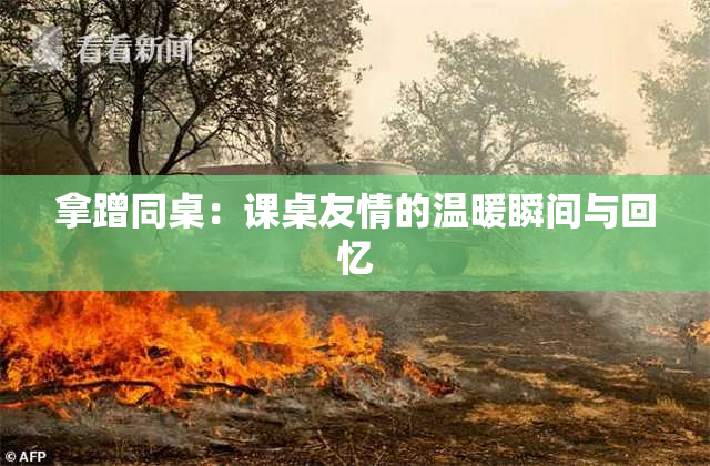 拿蹭同桌：课桌友情的温暖瞬间与回忆