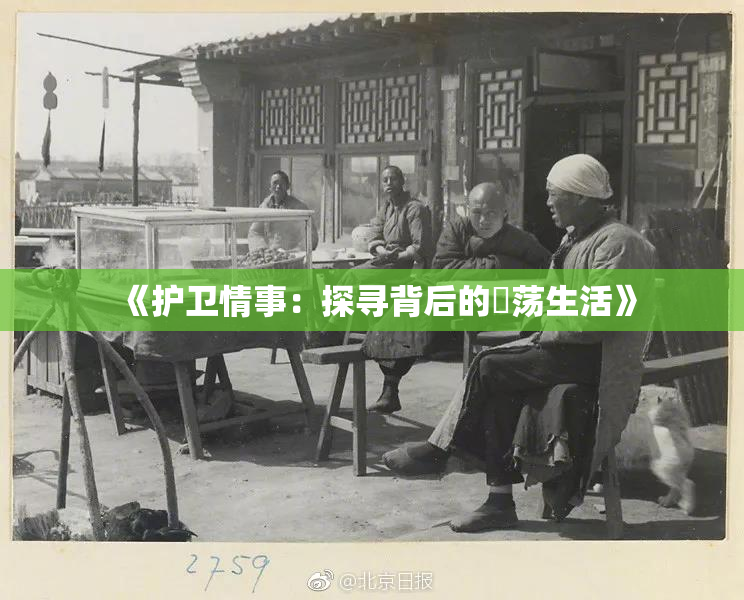 《护卫情事：探寻背后的婬荡生活》