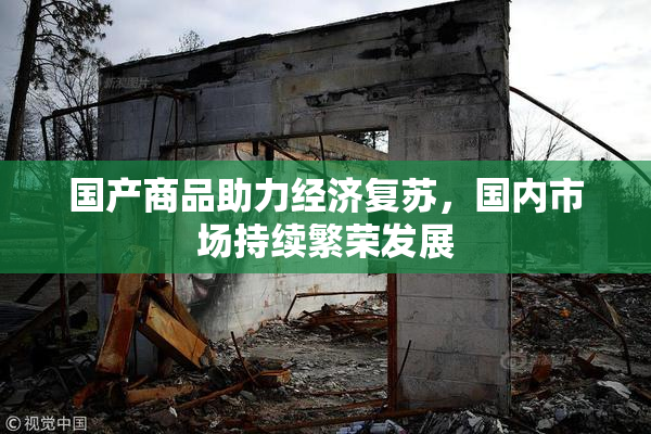 国产商品助力经济复苏，国内市场持续繁荣发展