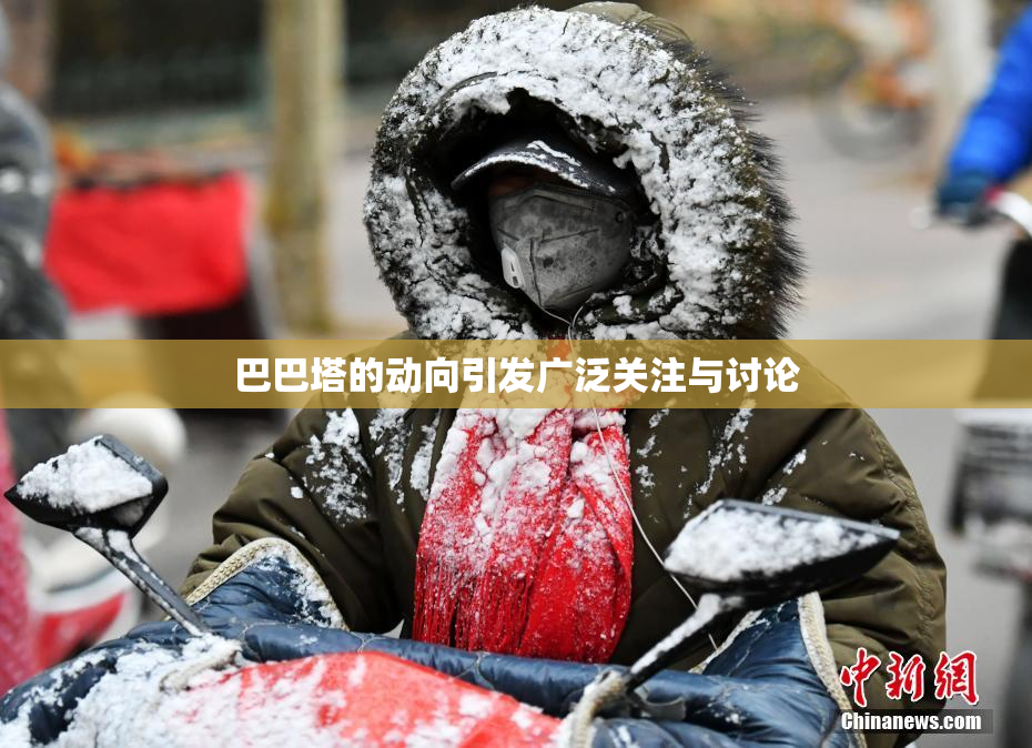 巴巴塔的动向引发广泛关注与讨论