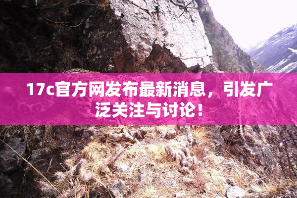 17c官方网发布最新消息，引发广泛关注与讨论！