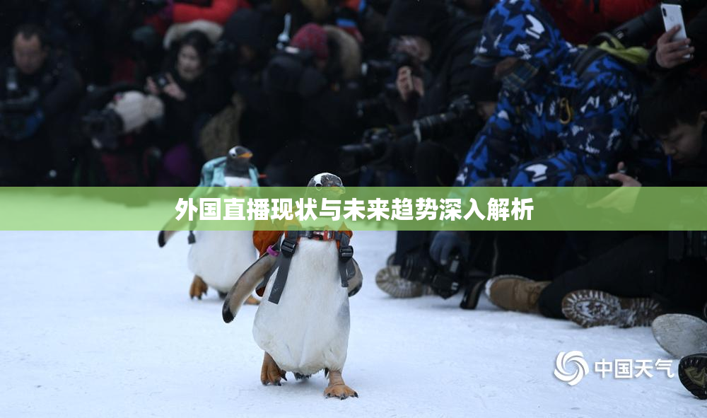 外国直播现状与未来趋势深入解析