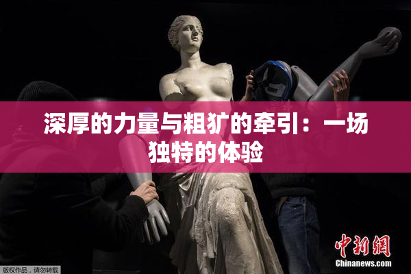 深厚的力量与粗犷的牵引：一场独特的体验