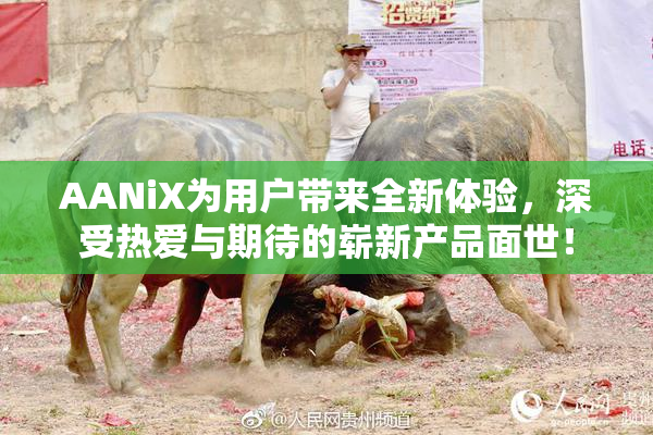 AANiX为用户带来全新体验，深受热爱与期待的崭新产品面世！
