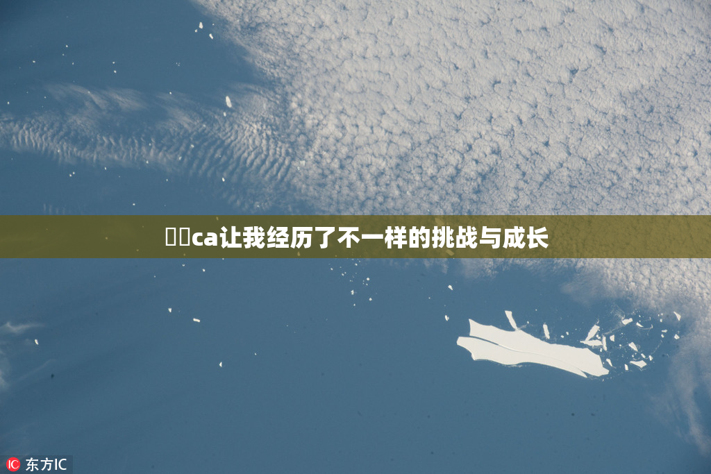 妺妺ca让我经历了不一样的挑战与成长