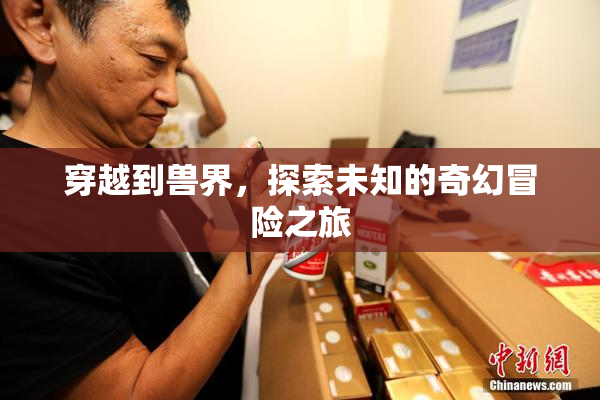穿越到兽界，探索未知的奇幻冒险之旅