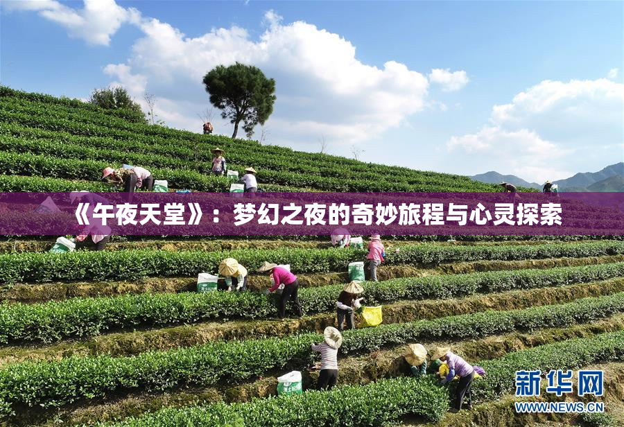 《午夜天堂》：梦幻之夜的奇妙旅程与心灵探索