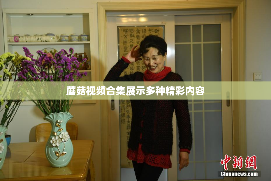蘑菇视频合集展示多种精彩内容