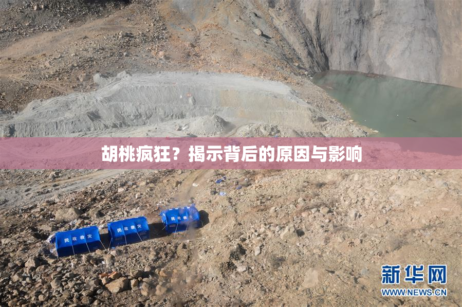 胡桃疯狂？揭示背后的原因与影响