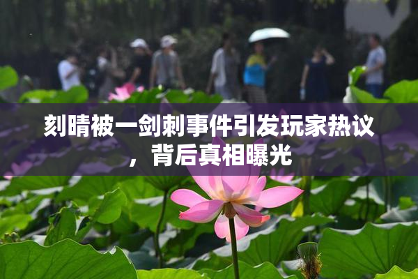 刻晴被一剑刺事件引发玩家热议，背后真相曝光