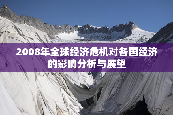 2008年全球经济危机对各国经济的影响分析与展望