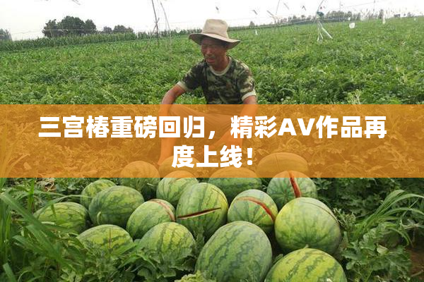 三宫椿重磅回归，精彩AV作品再度上线！